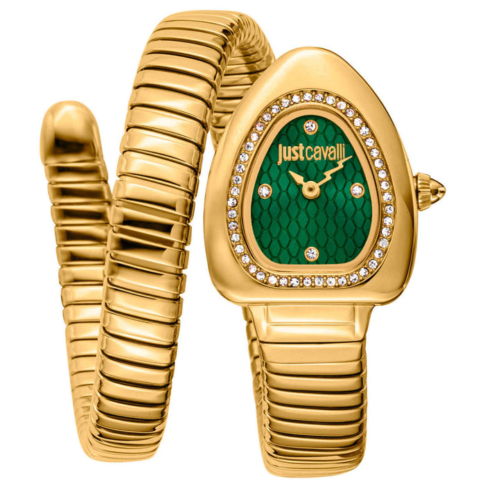 Just Cavalli Women's Wait Green Dial Watch - JC1L249M0035
