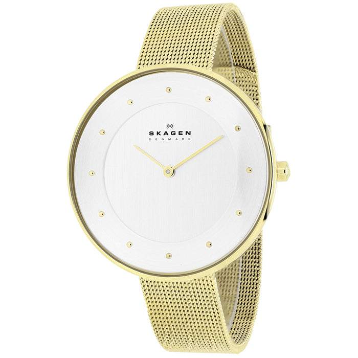 Skagen Women's Gitte Oversized Silver Dial Watch - SKW2141